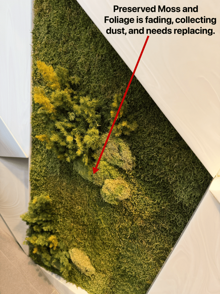 Moss Pure Replaces Preserved Moss Walls in Corporate Office Lobby