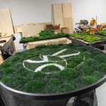 Live Moss Circle Frame and Logo for Procter & Gamble Corporate Offices