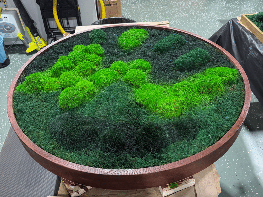 Double sided live moss circle frame with different species of living moss in a unique design.