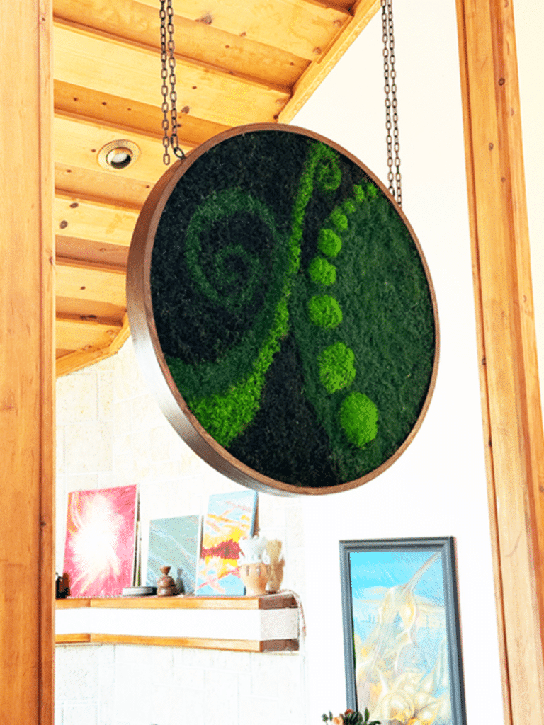 Double sided live moss circle frame with different species of living moss in a unique design.