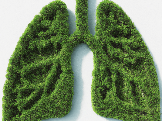 Living green moss shaped into human lungs, representing Moss Pure’s living moss air filtration technology.