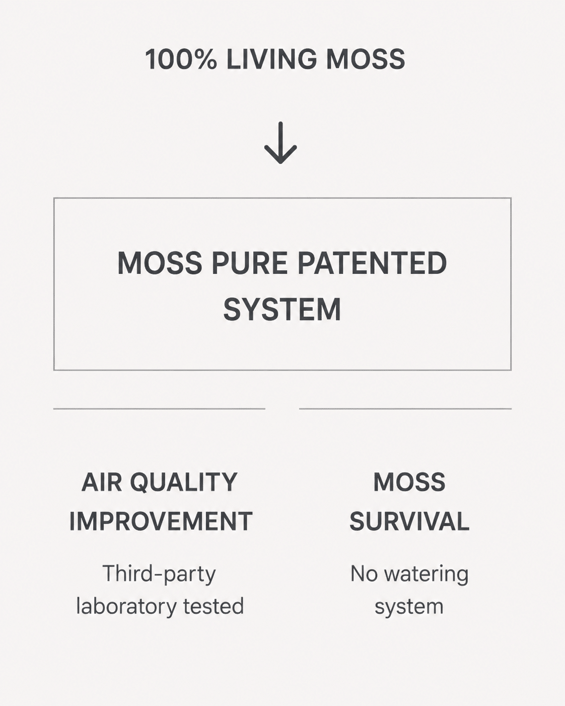 Diagram showing how Moss Pure’s patented system uses 100% living moss to support moss survival without watering and provide third-party laboratory-tested air filtration.